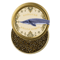 Kaluga Hybrid Caviar Australia | Premium Fresh Caviar | KHAVIYAR