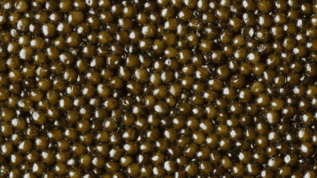 The grain, up close