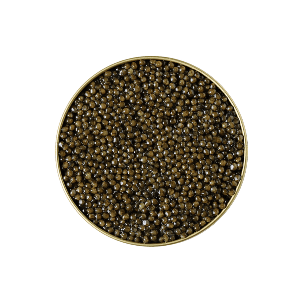 Kaluga Caviar Australia | Premium Fresh Caviar | KHAVIYAR