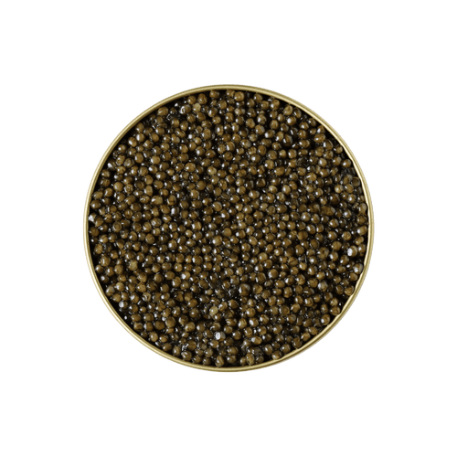 KHAVIYAR Royal-Grade Kaluga caviar tin with the lid removed