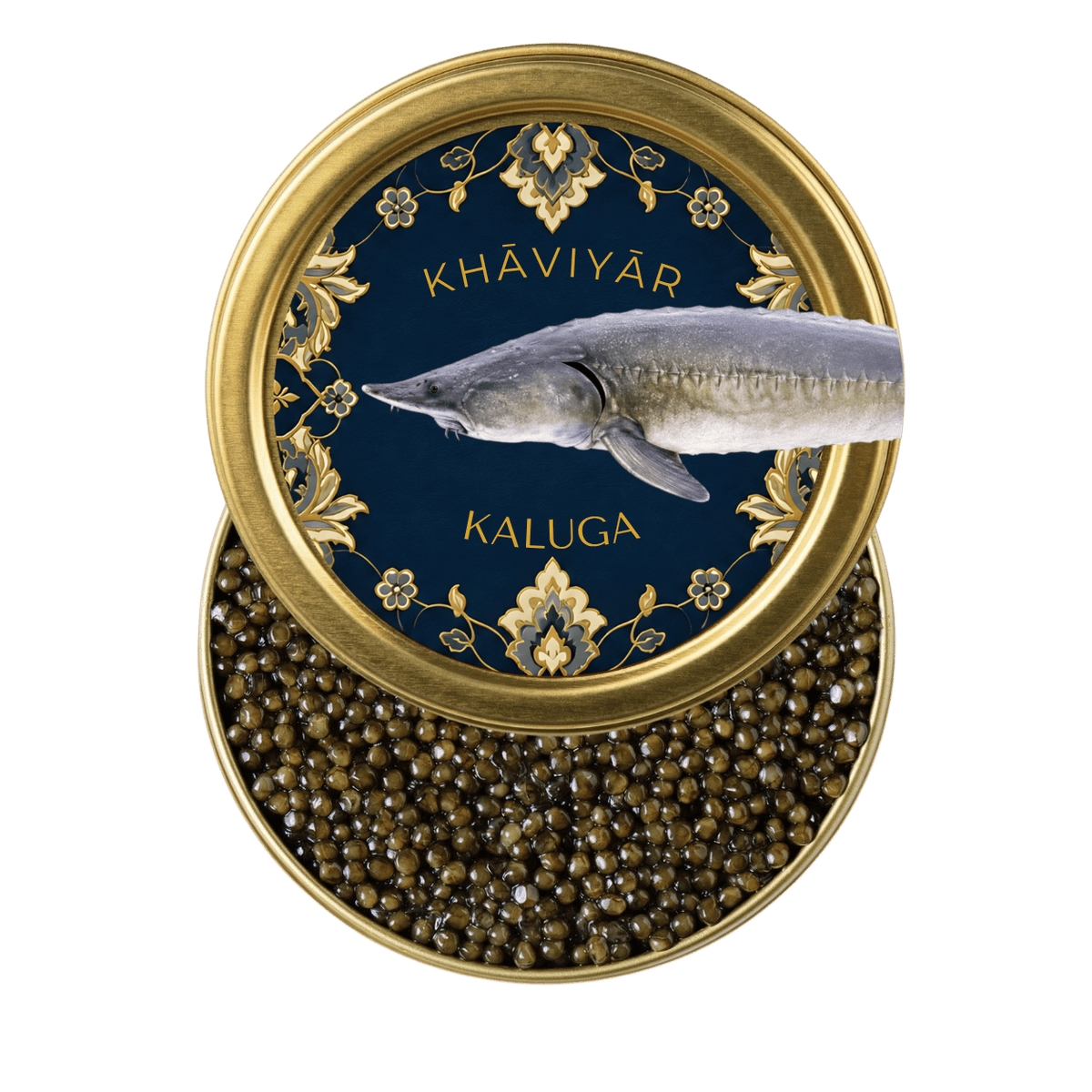 Kaluga Caviar Australia | Premium Fresh Caviar | KHAVIYAR