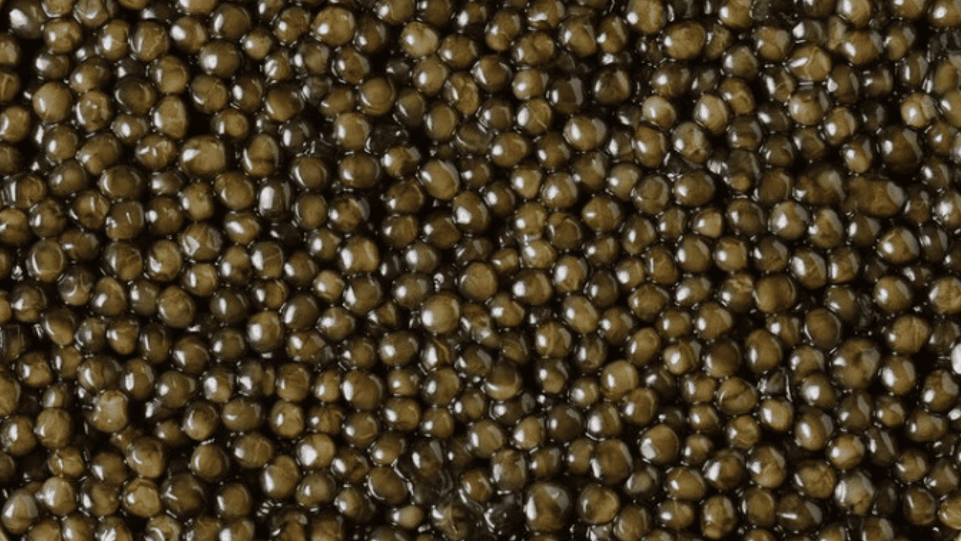 The highest quality of caviar